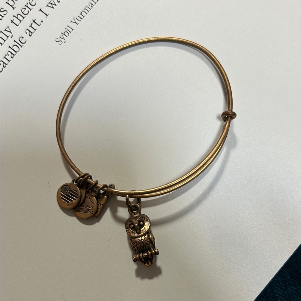 Alex and Ani Gold Owl Charm Bracelet